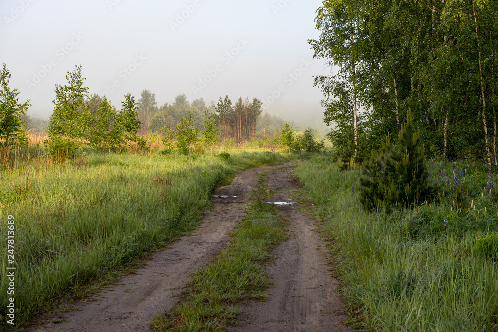 empty country gravel road with mud puddles and bumps empty country gravel road with mud puddles and bumps