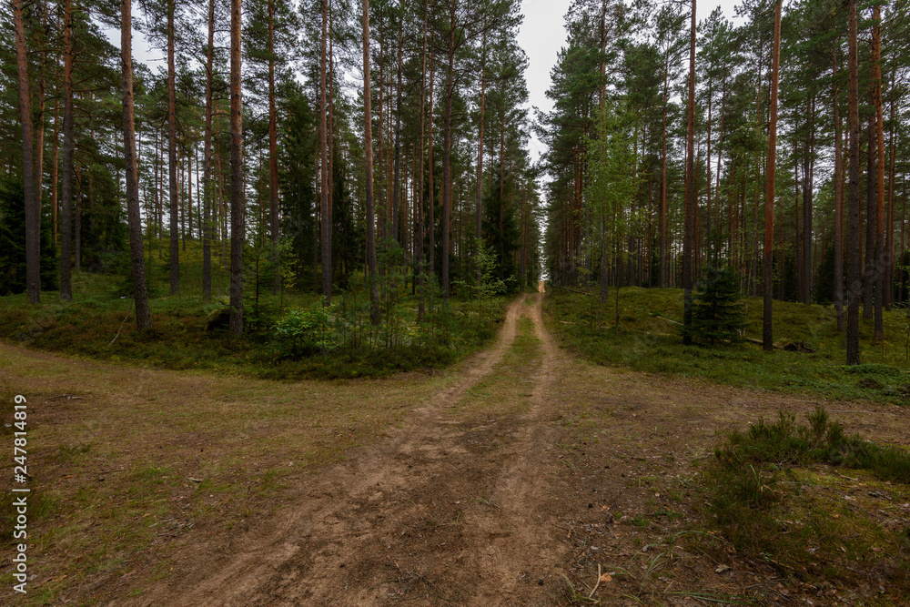 empty country gravel road with mud puddles and bumps empty country gravel road with mud puddles and bumps