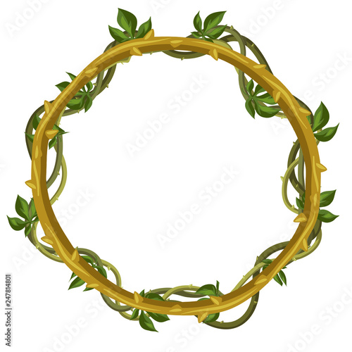 Twisted wild lianas branches frame.