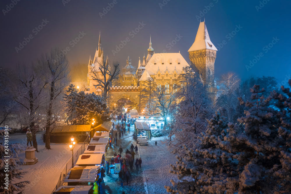Fototapeta premium Budapest, Hungary - Christmas market in snowy City Park (Varosliget) from above at night with snowy trees and Vajdahunyad castle at background
