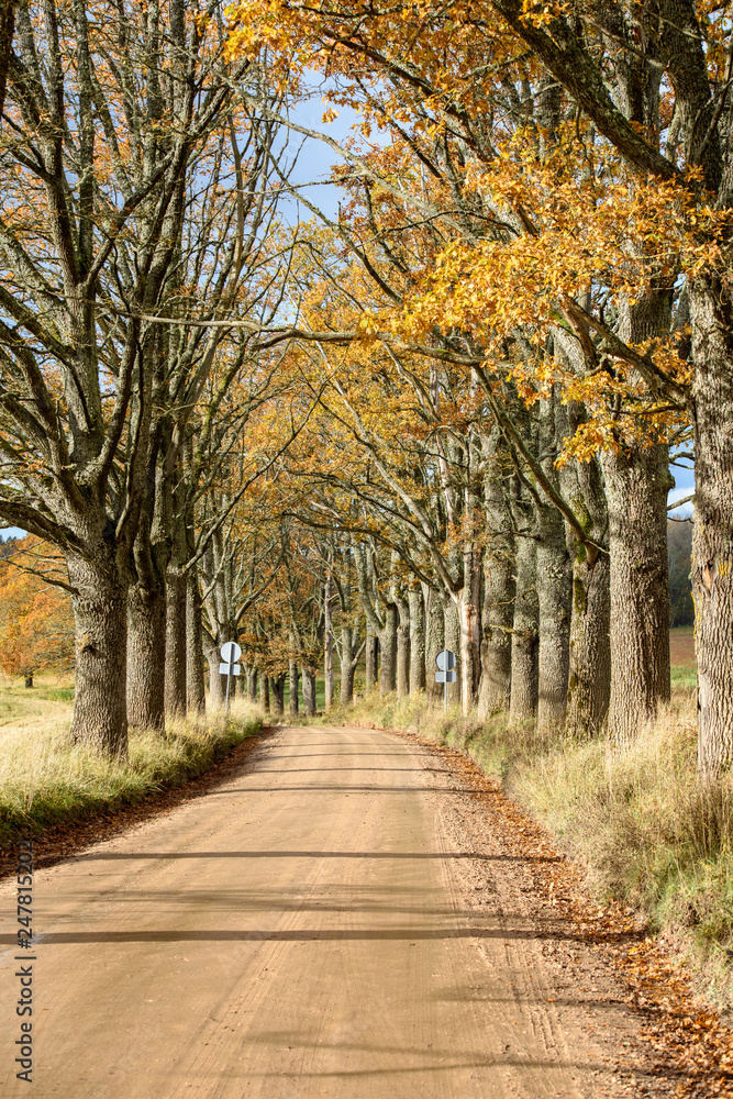 Naklejka premium empty country gravel road with mud puddles and bumps