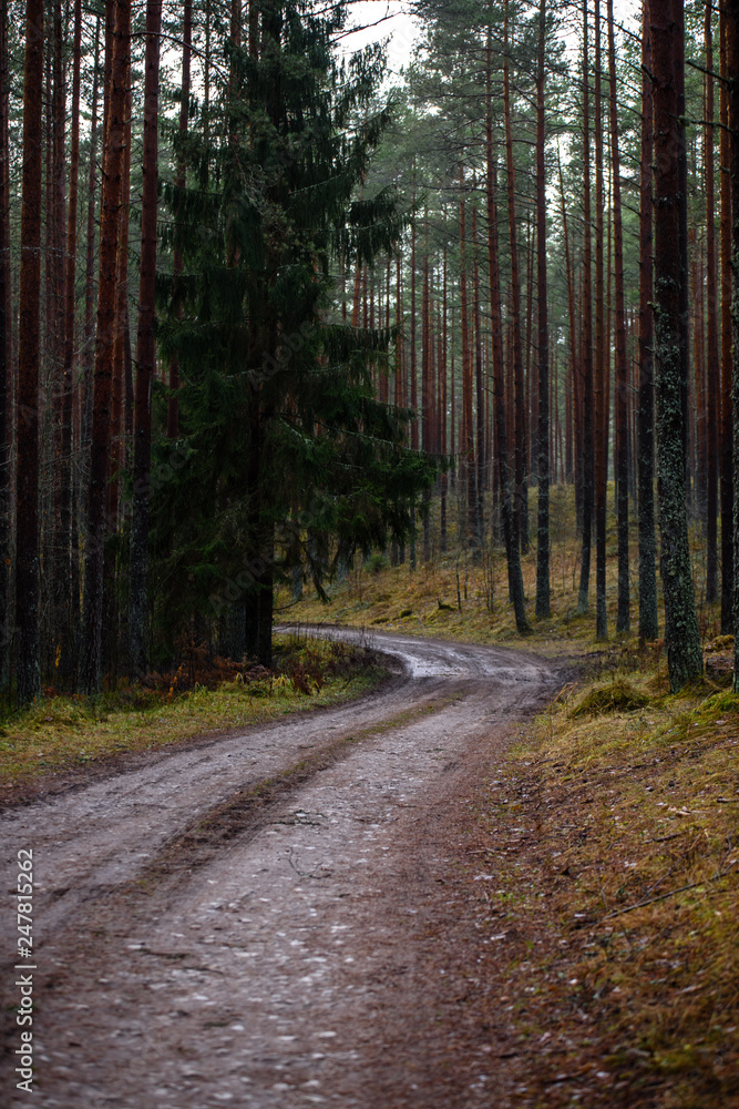 Fototapeta premium empty country gravel road with mud puddles and bumps