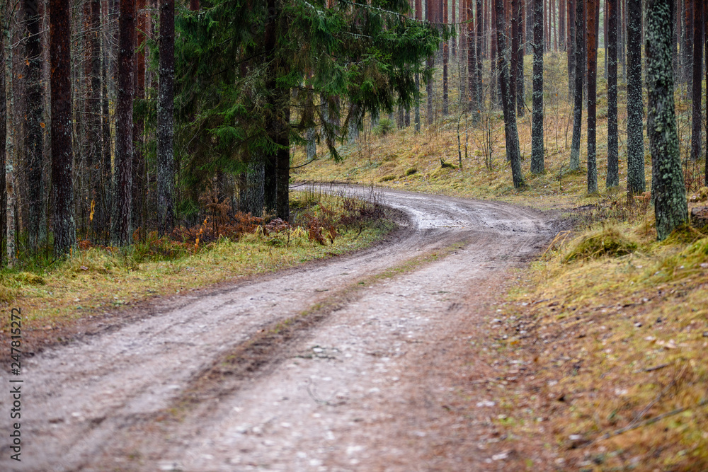 Fototapeta premium empty country gravel road with mud puddles and bumps