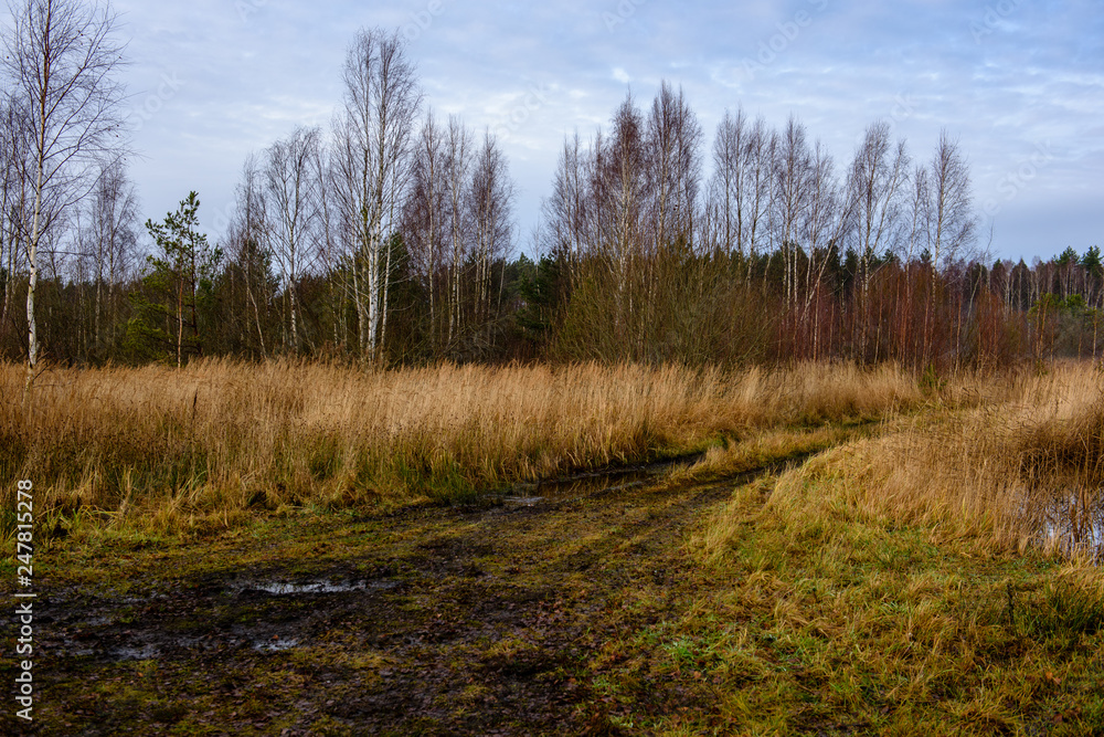 empty country gravel road with mud puddles and bumps empty country gravel road with mud puddles and bumps