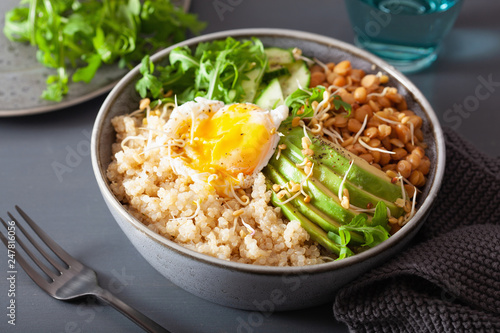 quinoa bowl with egg  avocado  cucumber  lentil. Healthy vegetarian lunch
