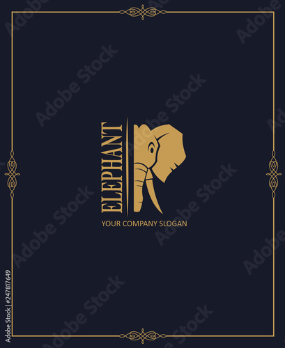 abstract elephant icon isolated on dark background