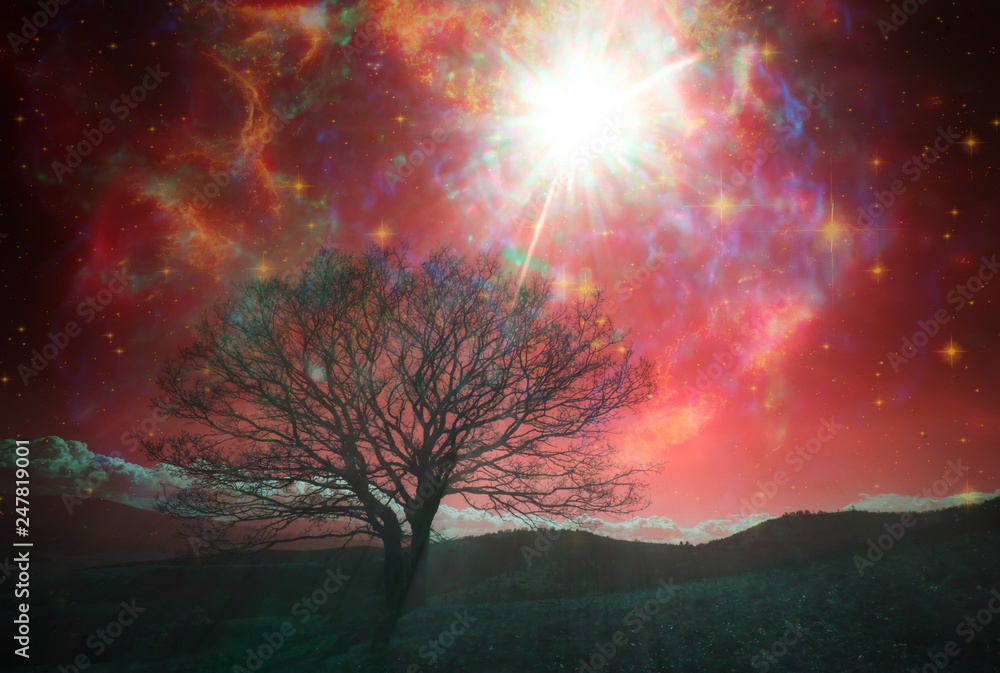 red alien landscape with alone tree over the night sky with many stars - elements of this image are furnished by NASA