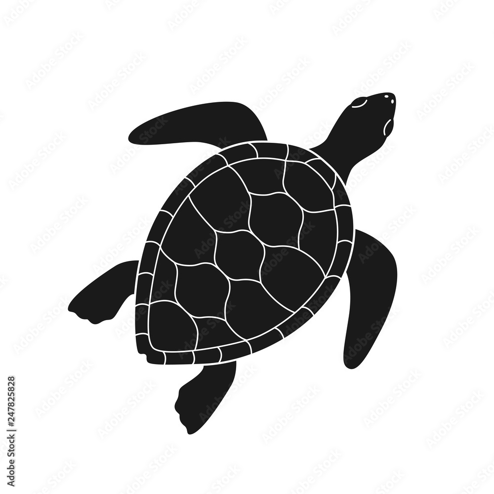 Isolated black silhouette of marine green turtle with white lines on ...