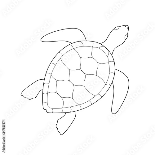 Isolated black outline monochrome sea green turtle on white background. Curve lines. Page of coloring book. photo