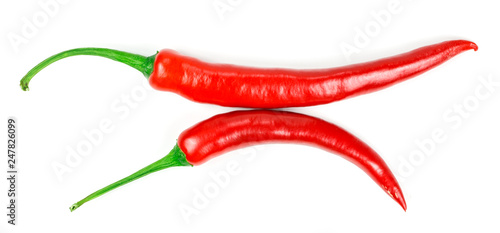 chili pepper isolated.