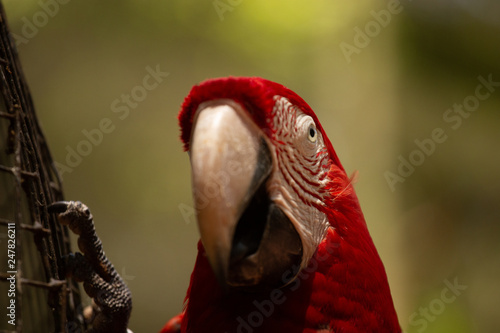 Fotografie Naturaleza