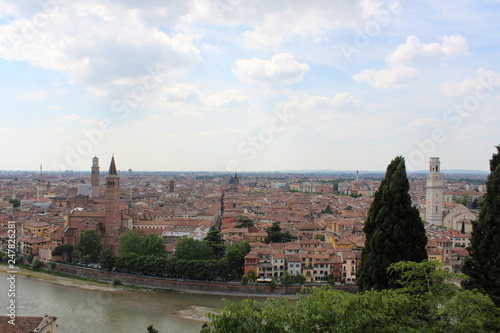 Upper view of Verona with tree