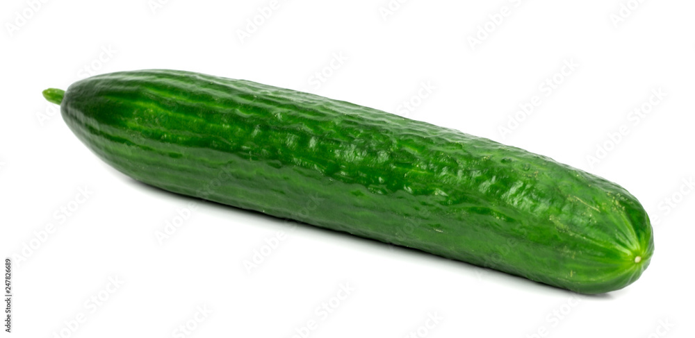 Isolated cucumber Isolated cucumber
