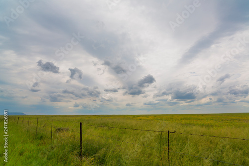 Green grass and clouds