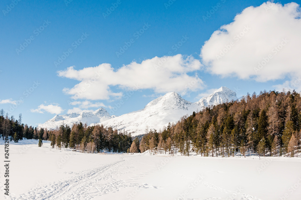 St. Moritz, Stazersee, Stazerwald, Winter, Wintersport, Winterwanderweg, Piz Julier, Alpen, Oberengadin, Graubünden, Schweiz
