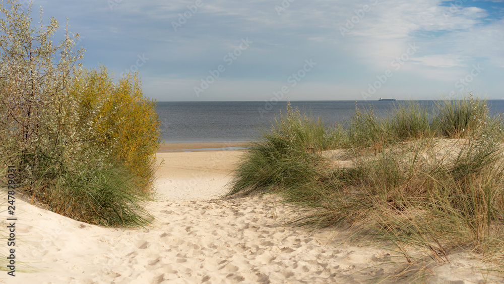 Dünenweg zum Meer