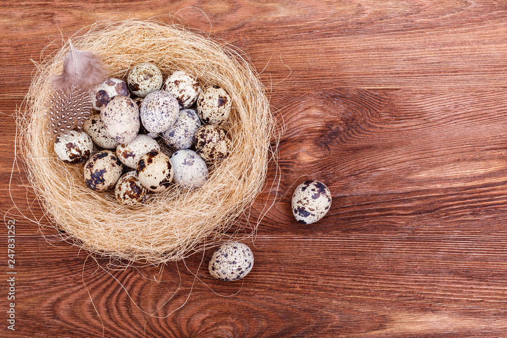 Quail easter eggs with and feathers in nest on wooden table, copy space. Spring, Easter, healthy organic food concept Quail easter eggs with and feathers in nest on wooden table, copy space. Spring, Easter, healthy organic food concept