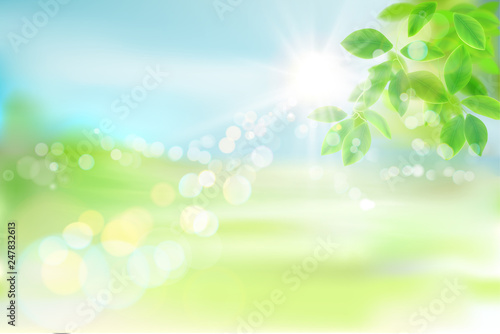 Fresh green tree leaves. Green meadow. Nature background. Spring landscape. Vector illustration.