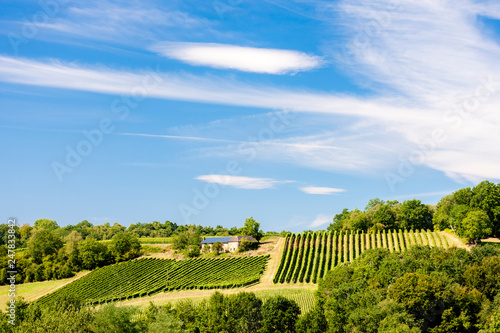 vineyard  Jurancon  France