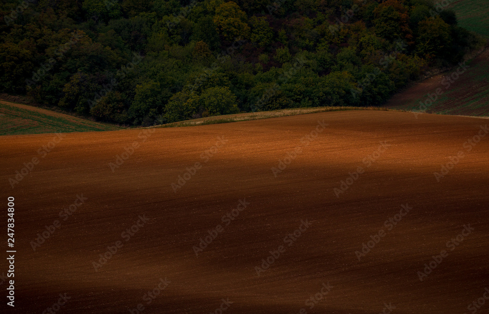 Fototapeta premium The last autumn rays of the sun in the landscape