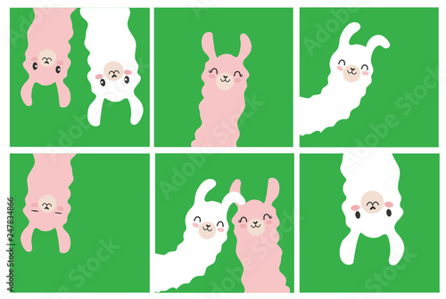 Set of cartoon pictures, images, photography with llama white and pink color. Blue background. Vector illustration. Flat design.