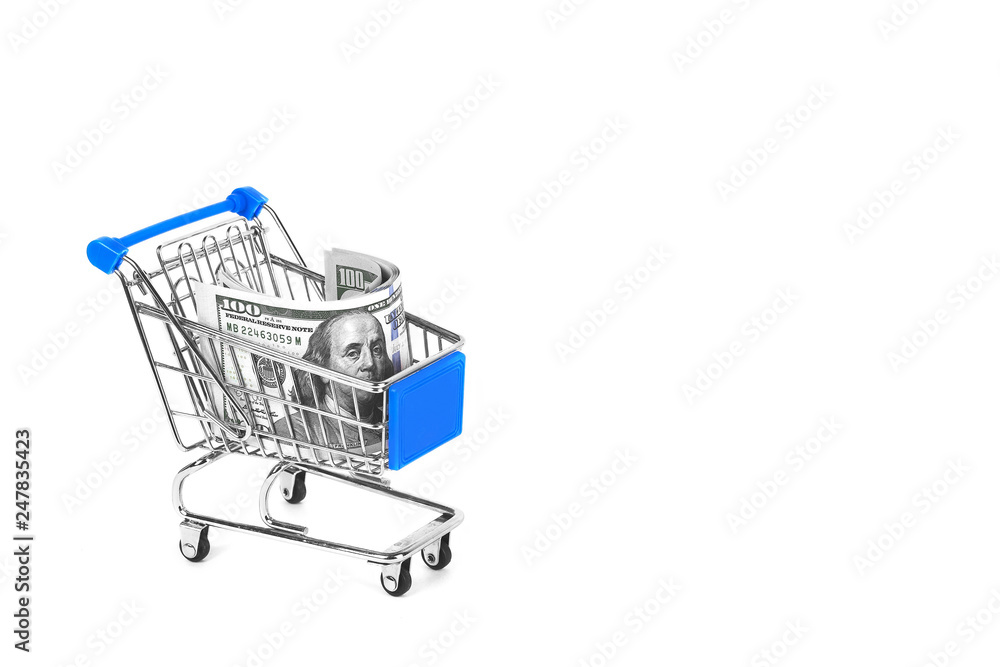 Shopping cart with dollars inside isolated on white background.