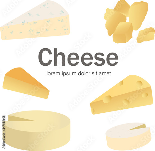 Cheese types. Vector illustration of for design menus, recipes and packages product. Icons isolated on white background.
