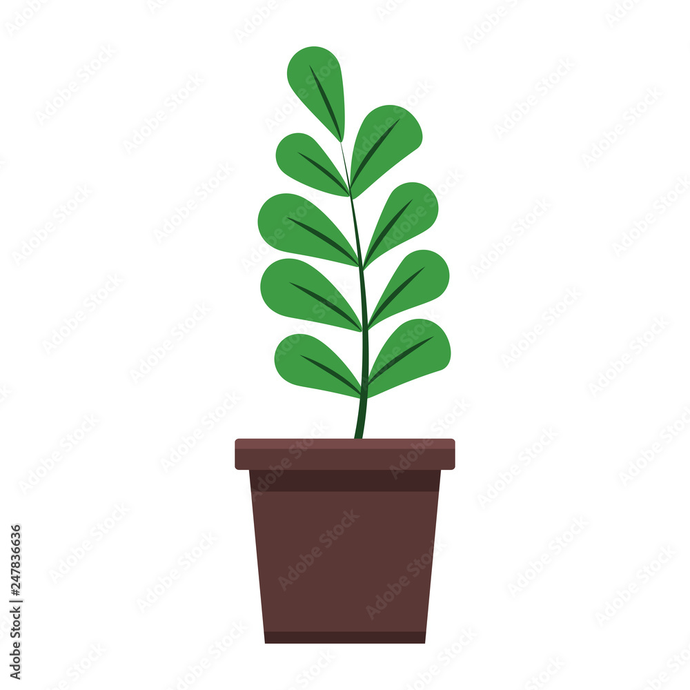 plant in pot cartoon