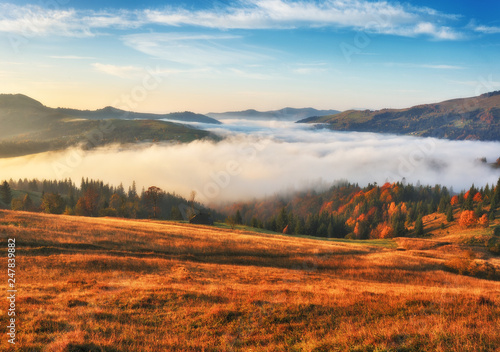 autumn sunrise in the Carpathian mountains. foggy morning © sergnester