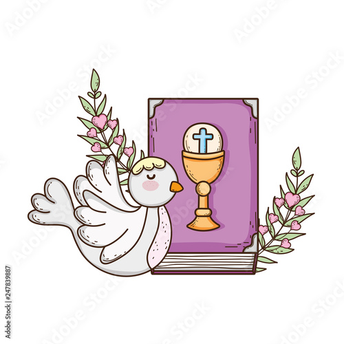 holy bible book with dove bird