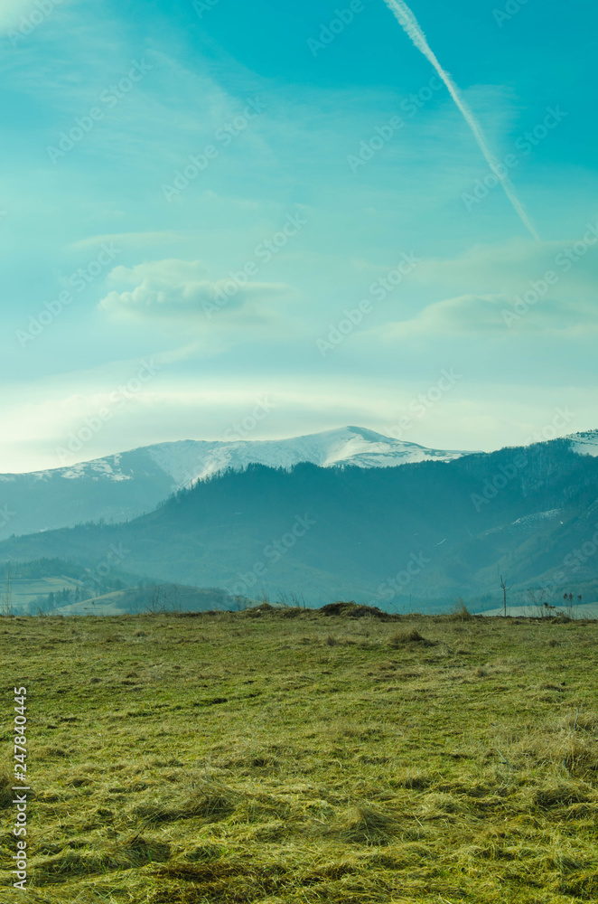 Obraz premium Beautiful morning at spring. Mountains with pine trees are muffled.