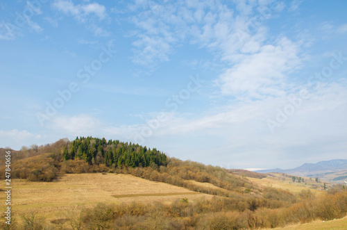 Fototapeta Naklejka Na Ścianę i Meble -  Beautiful morning at spring. Mountains with green pines.
