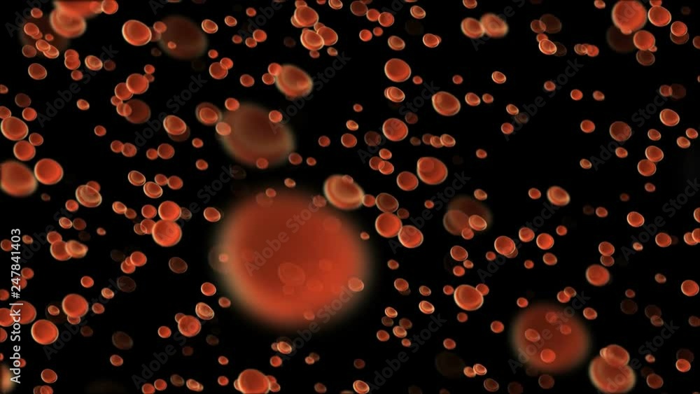 Animation of Red blood cells on black background Animation of Red blood cells on black background