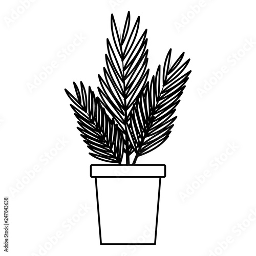 plant in pot cartoon