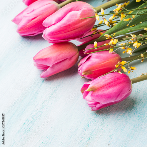Fototapeta Naklejka Na Ścianę i Meble -  Beautiful tulips on pastel green background