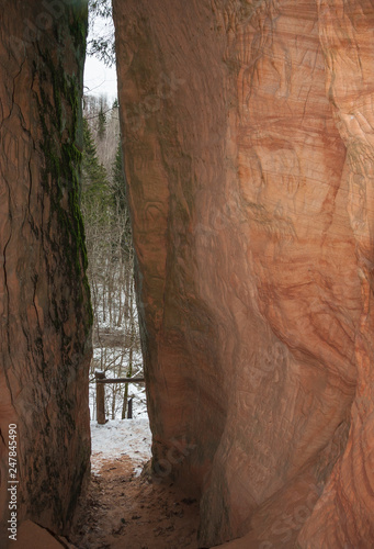 Latvia - Vidzeme - Sigulda - Tiny trail in a narrow canyon with high devonian sandstone walls leading to a water spring on the banks of the Gauja river in Gauja national park photo