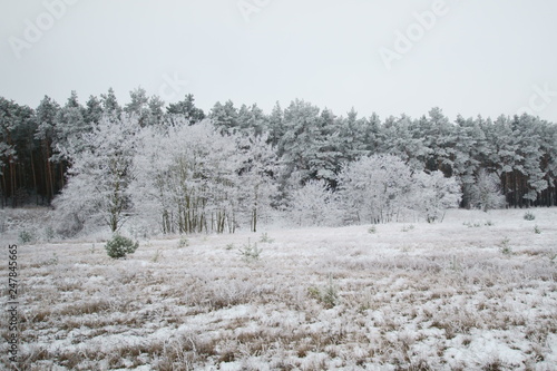 Wallpaper Mural Szadź Torontodigital.ca