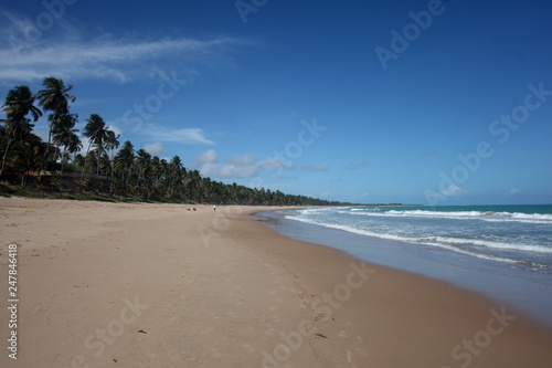 Fototapeta Naklejka Na Ścianę i Meble -  praia em Alagoas