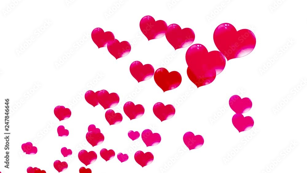 red hearts in the bubbles, fly up, on a white background red hearts in the bubbles, fly up, on a white background