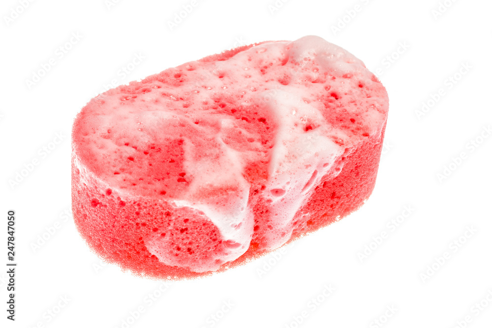 Rose foam sponge isolated on white background. Rose foam sponge isolated on white background.