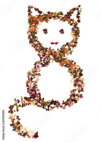 March 8. Cute cat from flower petals. On white background.