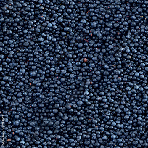 small dark berry en masse, blueberry, seamless texture