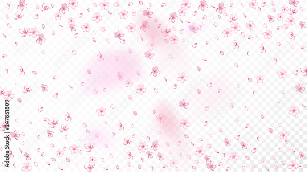 Nice Sakura Blossom Isolated Vector. Feminine Blowing 3d Petals Wedding Frame. Japanese Oriental Flowers Wallpaper. Valentine, Mother's Day Tender Nice Sakura Blossom Isolated on White