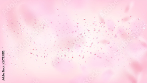 Nice Sakura Blossom Isolated Vector. Summer Showering 3d Petals Wedding Paper. Japanese Beauty Spa Flowers Wallpaper. Valentine, Mother's Day Realistic Nice Sakura Blossom Isolated on Rose