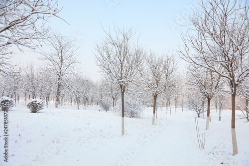 Winter scenery of northern China