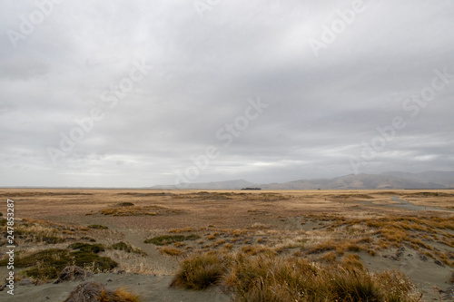 The exposed and open landscape along Kaitorete Spit, featuring sand dunes and beach flora, under a cloudy sky