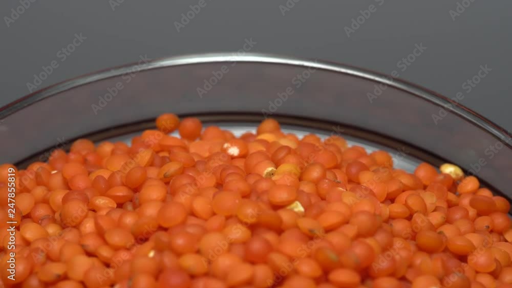 Lentils. Heap of raw uncooked red lentils in bowl in rotation. Red Chief Lentils, petite crimson lentils - Close up. Food background. gray background, studio shot. Healthy organic food diet concept Lentils. Heap of raw uncooked red lentils in bowl in rotation. Red Chief Lentils, petite crimson lentils - Close up. Food background. gray background, studio shot. Healthy organic food diet concept