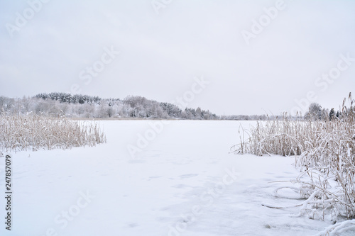 Fototapeta Naklejka Na Ścianę i Meble -  Zima w Polsce. Warmia