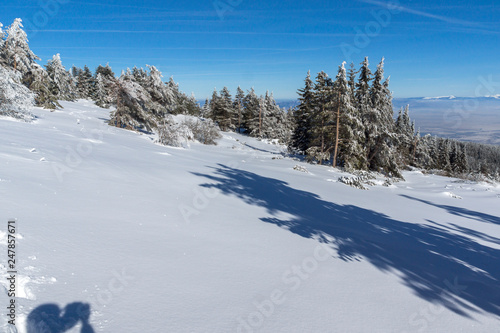 Amazing winter landscape of Vitosha Mountain, Sofia City Region, Bulgaria © Stoyan Haytov