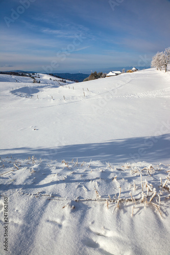 Schwarzwald_Halde_9595